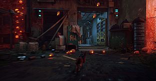 Stray