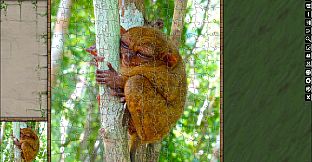 Jigsaw Puzzle Pack - Pixel Puzzles Ultimate: Primates