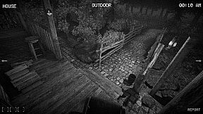 Anomaly Hunter - Observation Duty