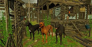 Animals for Clip maker