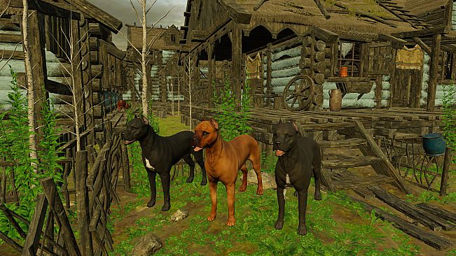 Animals for Clip maker