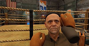 Virtual Boxing League