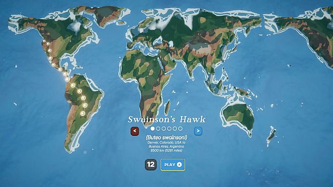 Birdigo - bird word game