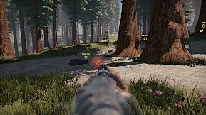 Missing Plane: Survival