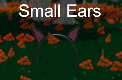 Hide and Seek - Small Ears
