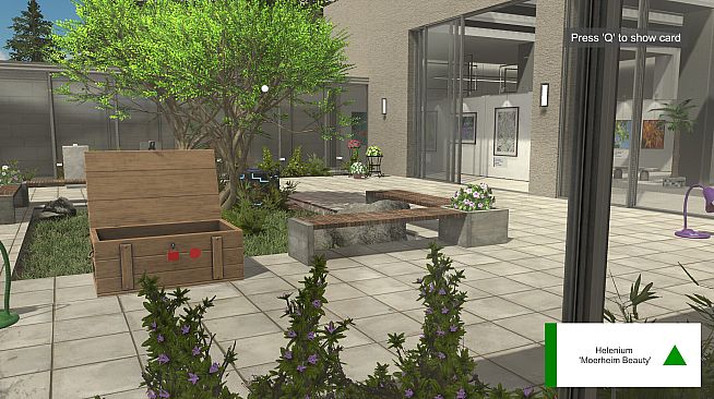 Plant Gallery: A Short Botanic Experience