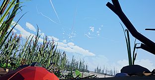 Bugs with Afterburners