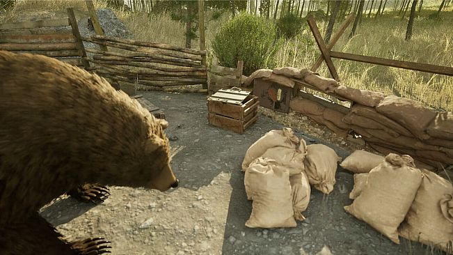 Wojtek: A Soldier Without a Uniform