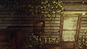 PHi: The Broken Strings