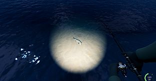 Rogoz Fishing