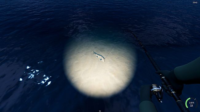 Rogoz Fishing