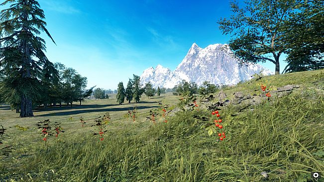 Your Journey of Survival