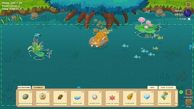 A Cat's Little Pond