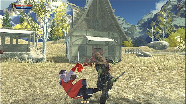 The Vengeance Of Lady Witch ARPG