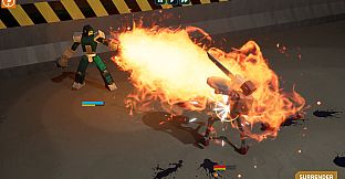 Robo Fight