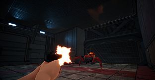 The Last of RAM