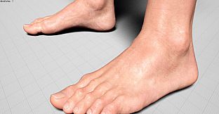 Spartan Commander Realtime