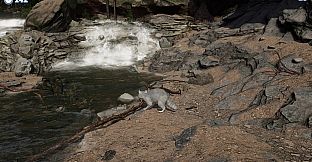 Cazzarion: Raccoon Valley