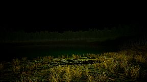 Aokigahara :The death forest