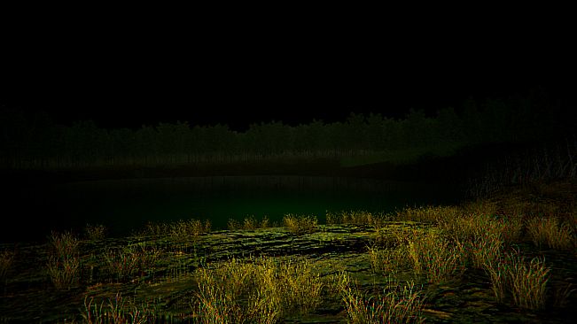 Aokigahara :The death forest