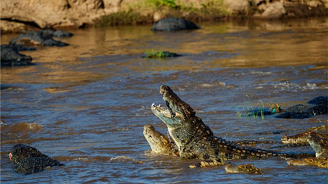 Puzzle Monarch Nile River Wall Papers