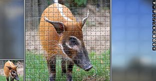 Jigsaw Puzzle Pack - Pixel Puzzles Ultimate: Animals