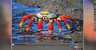 Pixel Puzzles Traditional Jigsaws Pack: Variety Pack 10