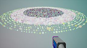 First-Person Data Explorer