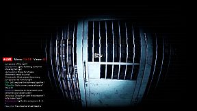 Madhouse Madness: Streamer's Fate