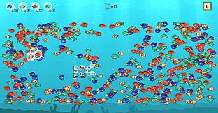 Coco's Beachquarium