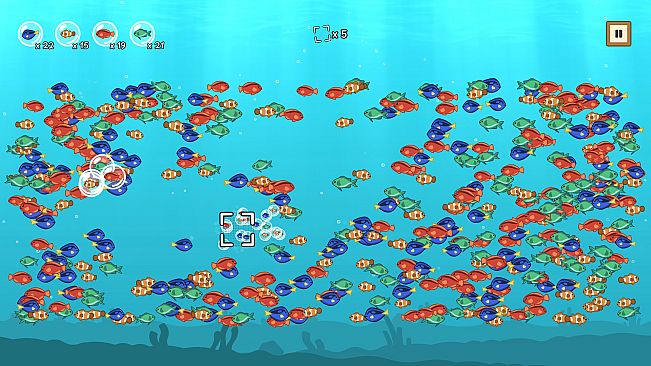 Coco's Beachquarium