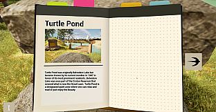 Bird Watch: Central Park