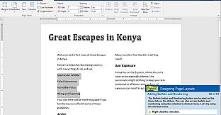 Professor Teaches Word 2016