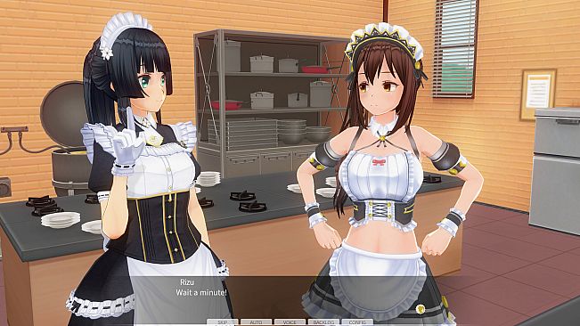 CUSTOM ORDER MAID 3D2 Friendly and Slightly Naughty Woman GP-02