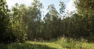 NextVisuals Benchmark Forest