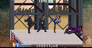 DoubleDragon Advance
