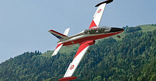 RealFlight Evolution - 2024 Year Content Pass