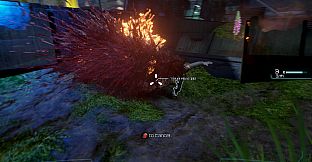 Beyond Flesh and Blood