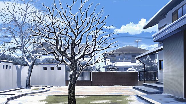 Dreaming in Cherry Blossoms, I Fall in Love with You