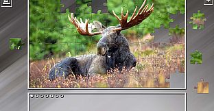 Super Jigsaw Puzzle: Generations - Random Animals 2