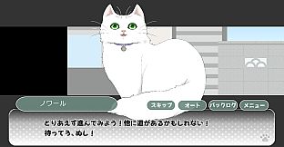 ノワールの帰り道