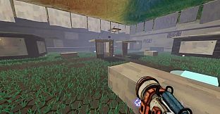 PAIMT ARENA