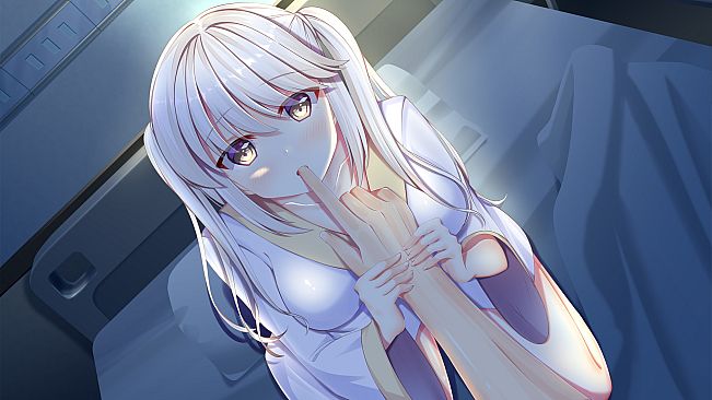 White Wings ホワイトウィングス