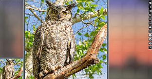 Jigsaw Puzzle Pack - Pixel Puzzles Ultimate: Variety Pack 4XS