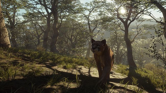 theHunter: Call of the Wild - Parque Fernando
