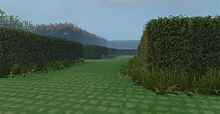 maze to the old castle