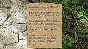 Forgotten Forest: Eye of the Great One