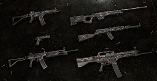 Insurgency: Sandstorm - Dragon Skin Weapon Skin