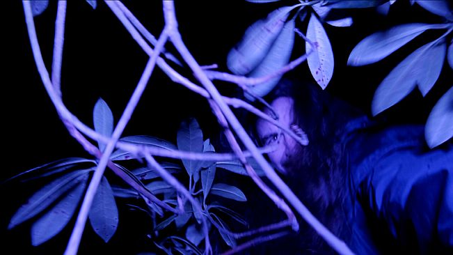 Single Player: Horror