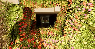 The Keyless: Awakening